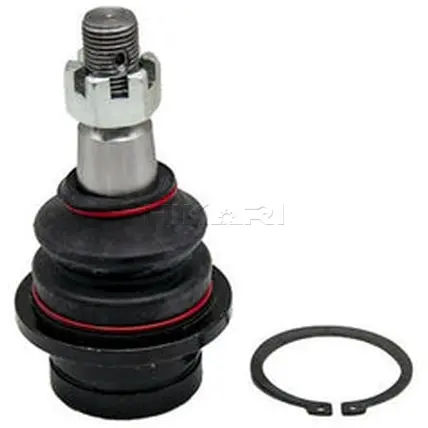 LOWER BALL JOINT FO1930