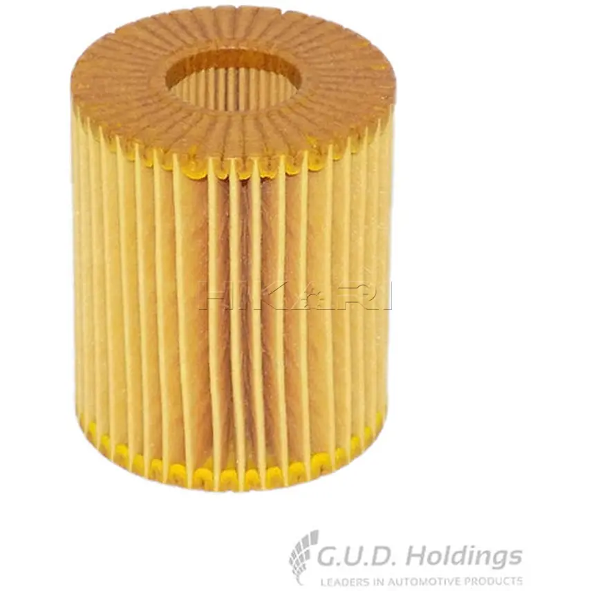 COF100666E/M81CHAMPION OIL FILTER