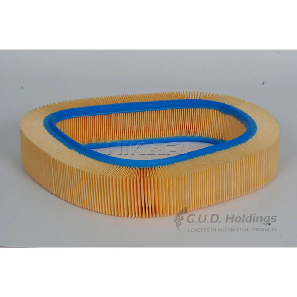 AG685GUD AIR FILTER